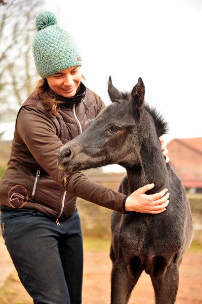 10. Mrz 2021 - Foto: Beate Langels - 
Trakehner Gestt Hmelschenburg