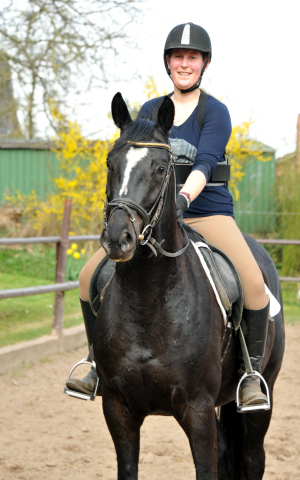 Gerade angeritten - Gestt Hmelschenburg, Foto: Beate Langels, 
Trakehner Gestt Hmelschenburg - Beate Langels