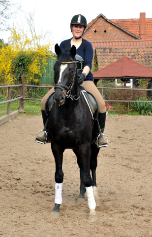 Gerade angeritten - Gestt Hmelschenburg, Foto: Beate Langels, 
Trakehner Gestt Hmelschenburg - Beate Langels