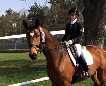 Trakehner Stute GALATEA von Syriano u.d. Pr.St. Gracia Patricia II v. Alter Fritz - Gestt Schplitz - Foto: Bernhard Langels
