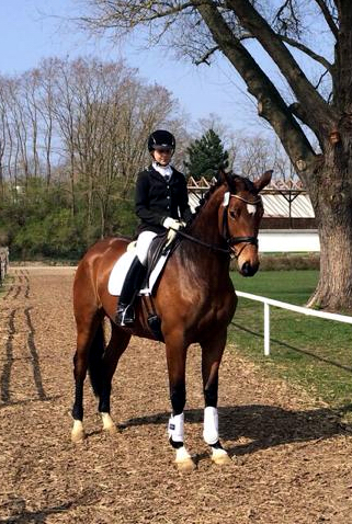 Trakehner Stute GALATEA von Syriano u.d. Pr.St. Gracia Patricia II v. Alter Fritz - Gestt Schplitz - Foto: Bernhard Langels