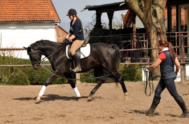 Gerade angeritten - Gestt Hmelschenburg, Foto: Beate Langels, 
Trakehner Gestt Hmelschenburg - Beate Langels