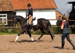 Gerade angeritten - Gestt Hmelschenburg, Foto: Beate Langels, 
Trakehner Gestt Hmelschenburg - Beate Langels