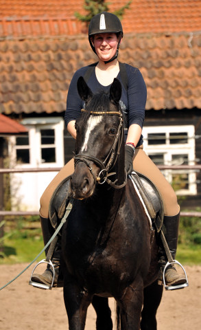 Gerade angeritten - Gestt Hmelschenburg, Foto: Beate Langels, 
Trakehner Gestt Hmelschenburg - Beate Langels