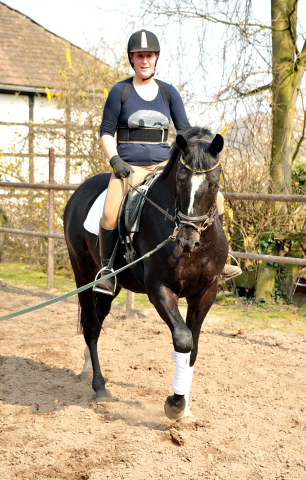 Gerade angeritten - Gestt Hmelschenburg, Foto: Beate Langels, 
Trakehner Gestt Hmelschenburg - Beate Langels
