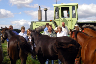 Besuch der Trakehner Freunde Weserbergland in Schäplitz - 10. August 2012 - Foto: Beate Langels - Trakehner Gestüt Hämelschenburg