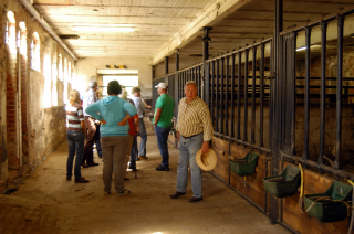 Besuch der Trakehner Freunde Weserbergland in Schäplitz - 10. August 2012 - Foto: Beate Langels - Trakehner Gestüt Hämelschenburg