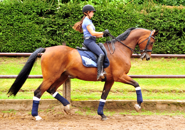Kapalua und Thyra Langels - Gestt Schplitz