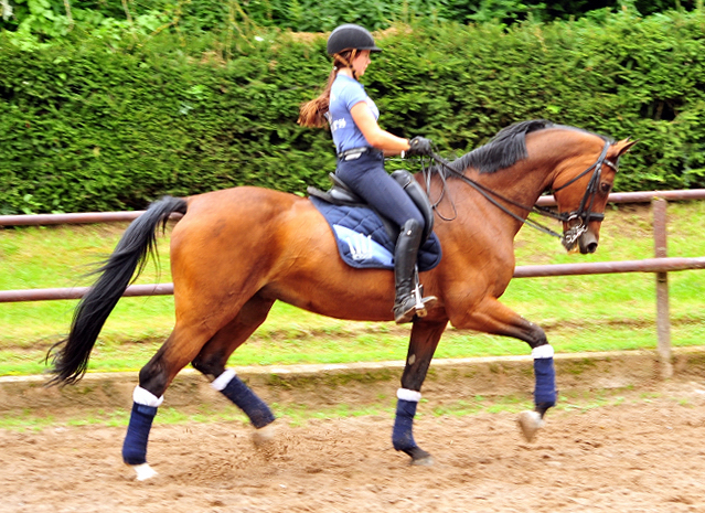 Kapalua und Thyra Langels - Gestt Schplitz