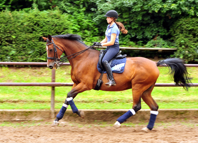 Kapalua und Thyra Langels - Gestt Schplitz