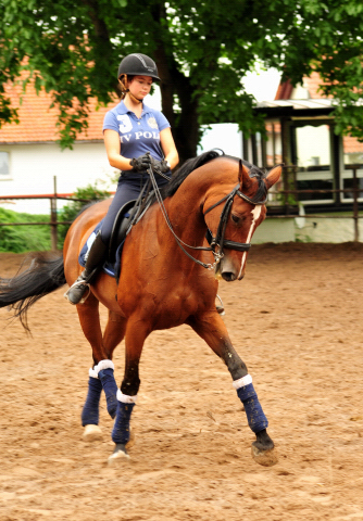 Kapalua und Thyra Langels - Gestt Schplitz