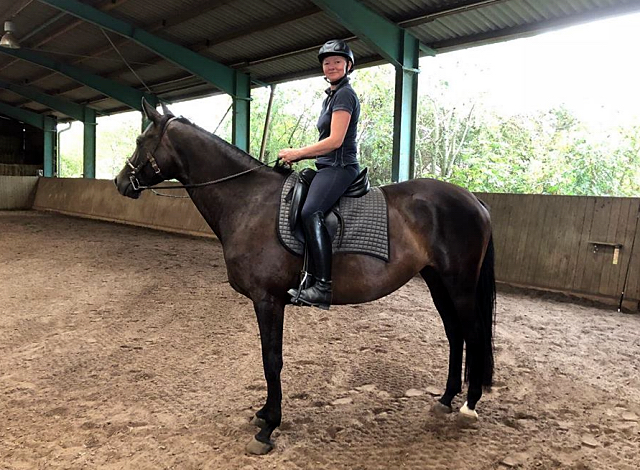 Kaisermelodie von Enrico Caruso im  August 2018 - Foto: privat -  Trakehner Gestt Hmelschenburg