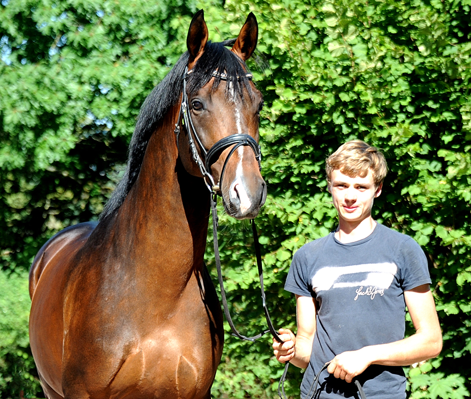 High Quality von Saint Cyr x Summertime  - Trakehner Gestt Hmelschenburg - 
Foto: Beate Langels