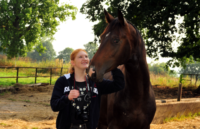 Zweijähriger Hengst von Saint Cyr x Red Patrick xx - Foto: Beate Langels -
Trakehner Gestüt Hämelschenburg