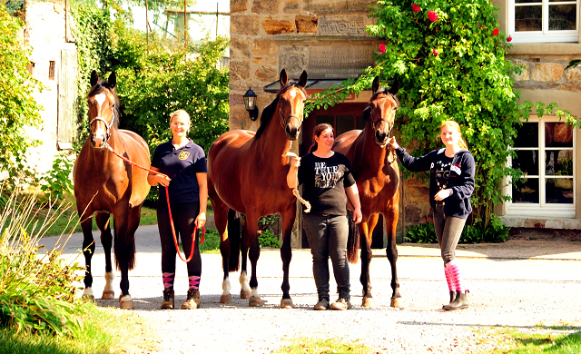 Klassic Touch von Oliver Twist u.d. Pr. u. StPrSt. Klassic v. Freudenfest  - Foto: Beate Langels -  
Trakehner Gestt Hmelschenburg