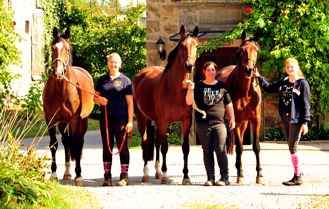 Prmienanwrterin Tacyra v. Saint Cyr u.d. Pr.u.StPrSt. Tavolara v. Exclusiv  - Foto: Beate Langels -  
Trakehner Gestt Hmelschenburg