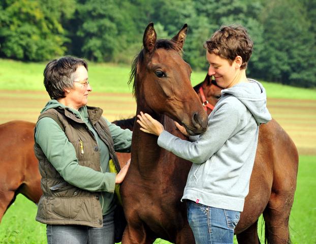 Glory Day - Trakehner Stutfohlen von Shavalou u.d. Giulietta v. Saint Cyr - Trakehner Gestt Hmelschenburg - Foto: Beate Langels