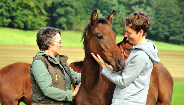 Glory Day - Trakehner Stutfohlen von Shavalou u.d. Giulietta v. Saint Cyr - Trakehner Gestt Hmelschenburg - Foto: Beate Langels