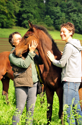 Glory Day - Trakehner Stutfohlen von Shavalou u.d. Giulietta v. Saint Cyr - Trakehner Gestt Hmelschenburg - Foto: Beate Langels