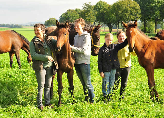 Glory Day - Trakehner Stutfohlen von Shavalou u.d. Giulietta v. Saint Cyr - Trakehner Gestt Hmelschenburg - Foto: Beate Langels