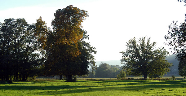 Goldener Oktober 2010 in den Emmerauen, Gestt Hmelschenburg, Foto: Beate Langels