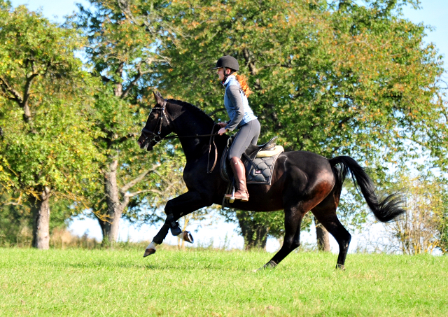 Shavalou und Johanna  - Foto: Beate Langels - Trakehner Gest t H melschenburg
