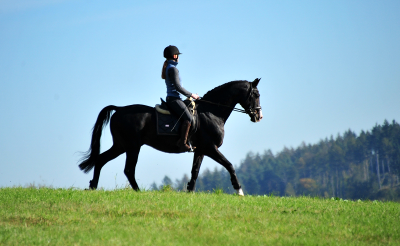 Shavalou und Johanna  - Foto: Beate Langels - Trakehner Gest t H melschenburg