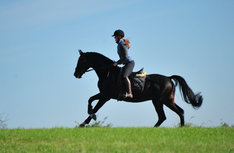 Shavalou und Johanna  - Foto: Beate Langels - Trakehner Gest t H melschenburg