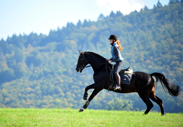 Shavalou und Johanna  - Foto: Beate Langels - Trakehner Gest t H melschenburg