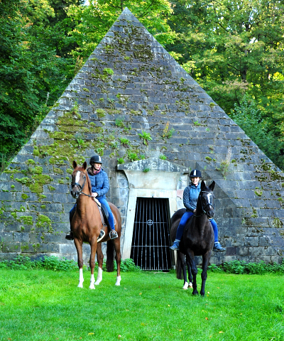 Ausritt mit Schwalbenfeder und Kavalou  - Foto: Beate Langels - Trakehner Gestt Hmelschenburg