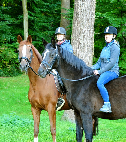 Ausritt mit Schwalbenfeder und Kavalou  - Foto: Beate Langels - Trakehner Gestt Hmelschenburg