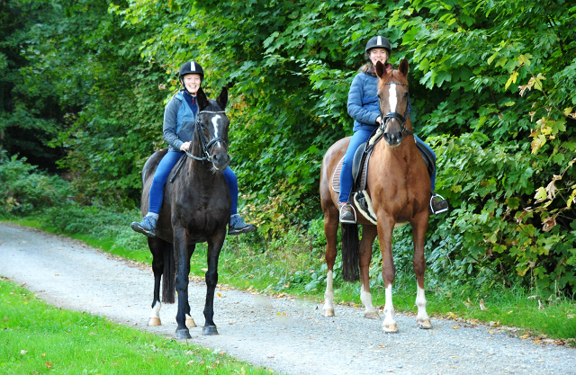 Ausritt mit Schwalbenfeder und Kavalou  - Foto: Beate Langels - Trakehner Gestt Hmelschenburg