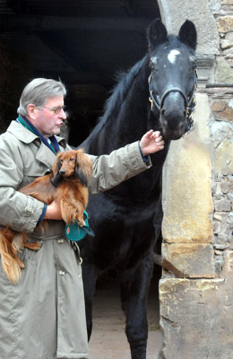 Walter von Weyhe und Kostolany - Glckwunsch zum 27. Geburtstag - Foto: Beate Langels - Trakehner Gestt Hmelschenburg