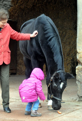 Greta Delliehausen und Kostolany an seinem 27. Geburtstag - Foto: Beate Langels - Trakehner Gestt Hmelschenburg