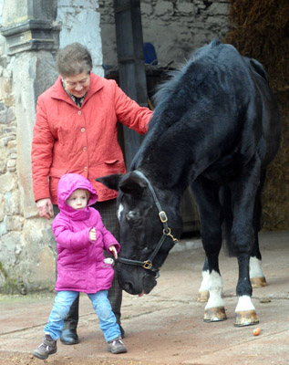 Greta und Kostolany an seinem 27. Geburtstag - Foto: Beate Langels - Trakehner Gestt Hmelschenburg