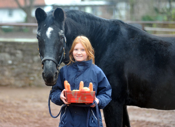 Kostolany's 27. Geburtstag - Foto: Beate Langels - Trakehner Gestt Hmelschenburg