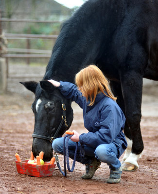 Johanna und Kostolany an seinem 27. Geburtstag - Foto: Beate Langels - Trakehner Gestt Hmelschenburg