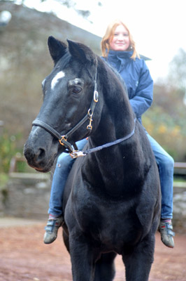 Johanna und Kostolany an seinem 27. Geburtstag - Foto: Beate Langels - Trakehner Gestt Hmelschenburg