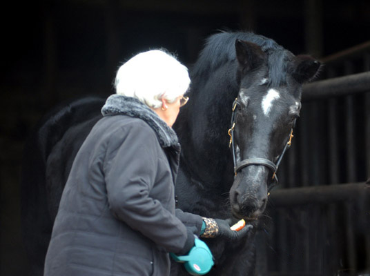 Renate von Weyhe und Kostolany an seinem 27. Geburtstag - Foto: Beate Langels - Trakehner Gestt Hmelschenburg