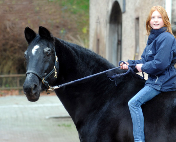 Kostolany's 27. Geburtstag - Foto: Beate Langels - Trakehner Gestt Hmelschenburg