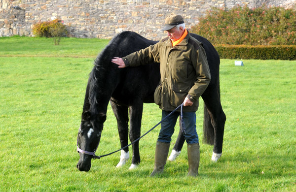 Otto Langels und Kostolany - an seinem 27. Geburtstag - Foto: Beate Langels - Trakehner Gestt Hmelschenburg