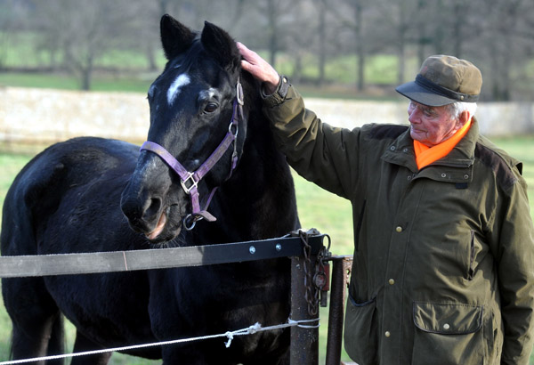 Kostolany's 27. Geburtstag - Foto: Beate Langels - Trakehner Gestt Hmelschenburg