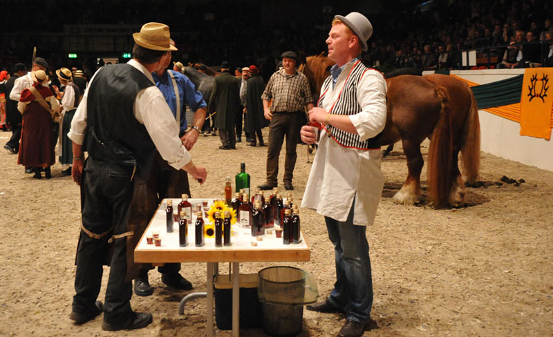 Wehlauer Pferdemarkt - Foto: Beate Langels, Trakehner Gestt Hmelschenburg