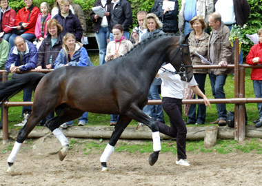 Symont v. Monteverdi - Kostolany