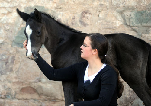 Trakehner Colt by Symont out of Premium- and Statepremiummare Tavolara by Exclusiv - Gestt Hmelschenburg, Beate Langels