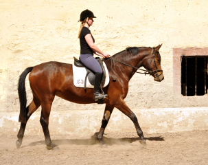 Klassic Touch v. Oliver Twist u.d. Klassic v. Freudenfest - Gestt Hmelschenburg am 11. Mai 2016