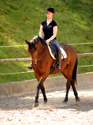 Klassic Touch v. Oliver Twist u.d. Klassic v. Freudenfest - Gestt Hmelschenburg am 11. Mai 2016