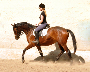 Klassic Touch v. Oliver Twist u.d. Klassic v. Freudenfest - Gestt Hmelschenburg am 11. Mai 2016