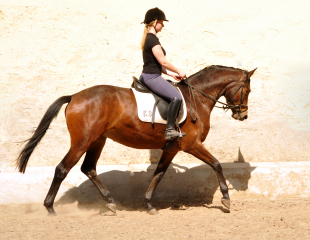 Klassic Touch v. Oliver Twist u.d. Klassic v. Freudenfest - Gestt Hmelschenburg am 11. Mai 2016