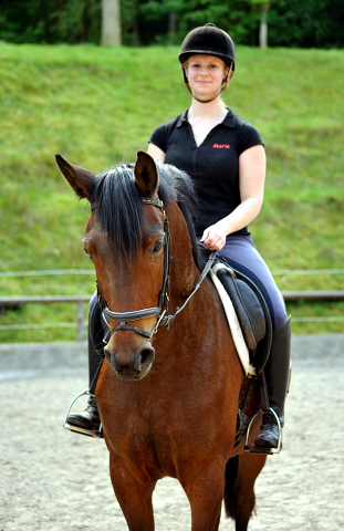 Klassic Touch v. Oliver Twist u.d. Klassic v. Freudenfest - Gestt Hmelschenburg am 11. Mai 2016